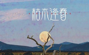 你说吉他六线谱_枯木逢春_C调按弦原版编配弹唱伴奏谱_高清图片六线谱