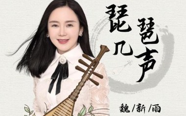 琵琶几声吉他六线谱_魏新雨_C调原版编配弹唱伴奏谱_图片谱