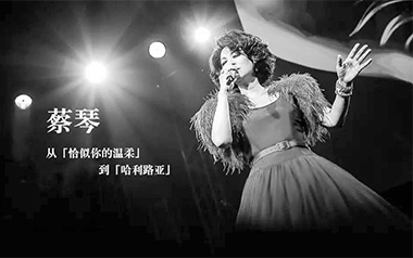 恰似你的温柔吉他六线谱_蔡琴_C调原版编配弹唱伴奏谱_吉他图片谱