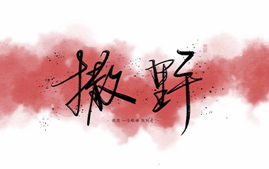 撒野吉他六线谱_凯瑟喵_C调手指指法简单版弹唱伴奏谱_高清六线谱