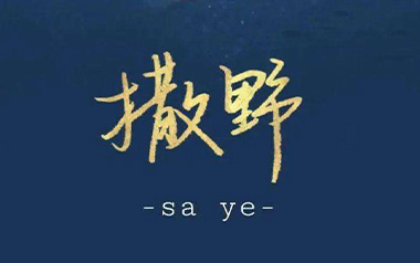 撒野吉他六线谱_凯瑟喵_撒野C调弹唱伴奏谱_高清六线谱