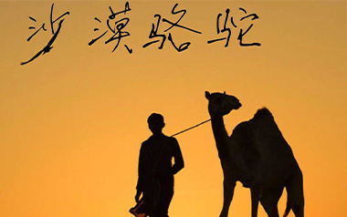 沙漠骆驼吉他六线谱_展展与罗罗_C调弹唱伴奏谱_高清图片六线谱