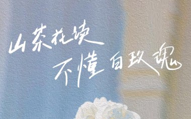山茶花读不懂白玫瑰吉他六线谱_Lil_G调原版编配_六线图片谱