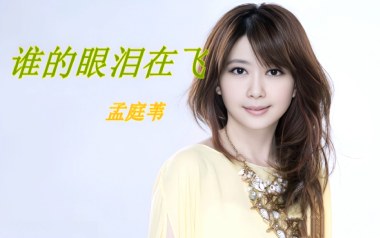 谁的眼泪在飞吉他六线谱_孟庭苇_C调原版编配弹唱伴奏谱_高清六线谱