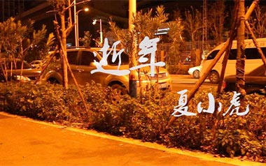 逝年吉他六线谱_夏小虎_G调原版编配吉他六线谱_吉他弹唱伴奏教程