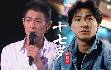 十七岁吉他六线谱_刘德华_C调手指指法原版编配弹唱伴奏谱_吉他图片谱