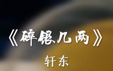 碎银几两吉他六线谱_轩东_C调手指指法原版编配弹唱伴奏谱_图片谱