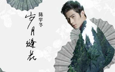 岁月缝花吉他六线谱_陈学冬_G调按弦原版编配弹唱伴奏谱_图片谱