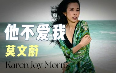 他不爱我吉他六线谱_莫文蔚_G调手指指法原版编配弹唱伴奏谱_六线图片谱