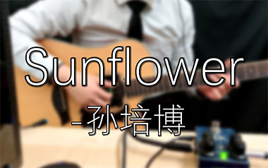 太阳花拇指弹拨吉他六线谱_孙培博_Sunflower原版编配独奏谱_器乐独奏谱六线谱