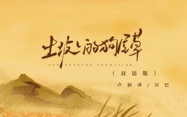 土坡上的狗尾草吉他六线谱_卢润泽_C调弹唱伴奏谱_吉他图片谱