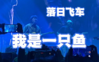 我是一只鱼吉他六线谱_落日飞车_D调原版编配吉他六线谱_吉他弹唱伴奏教程