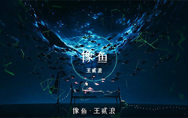 像鱼吉他六线谱_王贰浪_C调原版编配弹唱伴奏谱_六线图片谱