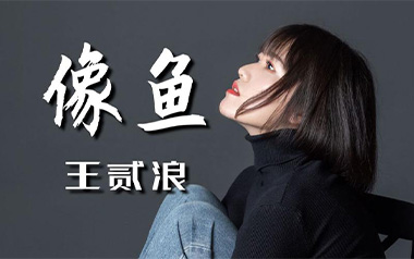 像鱼吉他六线谱_王贰浪_G调原版编配弹唱伴奏谱_六线图片谱