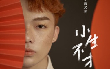 小生不才吉他六线谱_要不要买菜_C调原版编配弹唱伴奏谱_高清六线谱