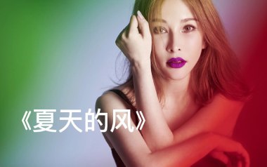 夏天的风吉他六线谱_温岚_G调手指指法原版编配吉他六线谱_吉他弹唱伴奏教程