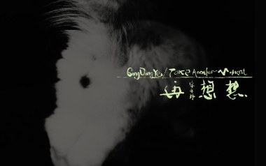 谢谢你吉他六线谱_宋冬野_C调原版编配弹唱伴奏谱_高清图片六线谱