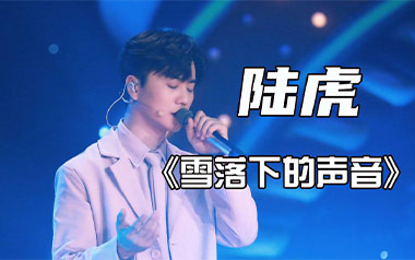 雪落下的声音吉他六线谱_陆虎_C调简单版弹唱伴奏谱_六线图片谱