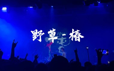 野草吉他六线谱_椿乐队_C调手指指法原版编配弹唱伴奏谱_高清六线谱