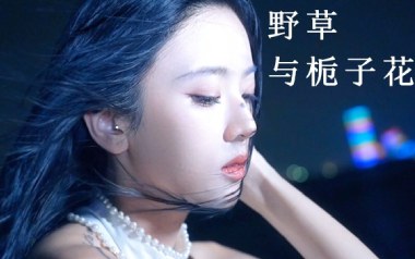 野草与栀子花吉他六线谱_林三七_G调原版编配弹唱伴奏谱_图片谱