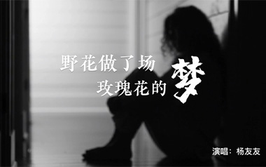 野花做了场玫瑰花的梦吉他六线谱_杨友友_C调原版编配_高清六线谱