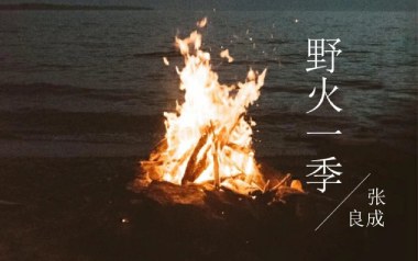 野火一季吉他六线谱_张良成_C调按弦弹唱伴奏谱_六线图片谱