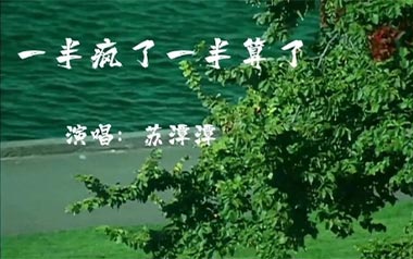 一半疯了一半算了吉他六线谱_苏谭谭_G调原版编配弹唱伴奏谱_高清图片六线谱