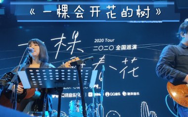 一棵会开花的树吉他六线谱_谢春花_C调扫弦节奏版_吉他图片谱