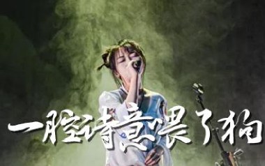 一腔诗意喂了狗吉他六线谱_花粥_G调手指指法弹唱伴奏谱_高清六线谱
