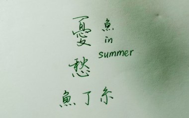 忧愁吉他六线谱_鱼丁糸_G调按弦原版编配弹唱伴奏谱_图片谱