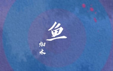 鱼吉他六线谱_加木_《鱼》C调按弦打板版_吉他图片谱