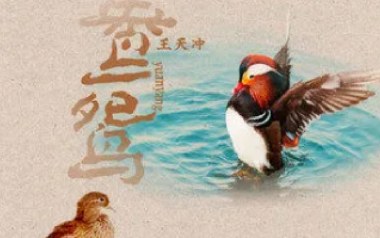鸳鸯吉他六线谱_王天冲_G调原版编配弹唱伴奏谱_高清六线谱