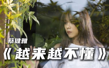 越来越不懂吉他六线谱_蔡健雅_C调按弦弹唱伴奏谱_图片谱