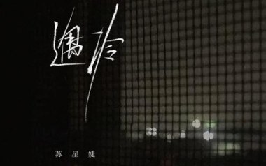 遇冷吉他六线谱_苏星婕_C调原版编配弹唱伴奏谱_图片谱