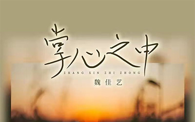 掌心之中吉他六线谱_魏佳艺_G调原版编配弹唱伴奏谱_六线图片谱