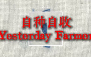 自种自收吉他六线谱_杨世暄_G调原版编配弹唱伴奏谱_图片谱