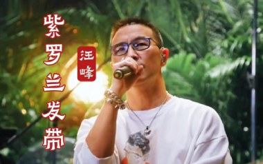 紫罗兰发带吉他六线谱_汪峰_G调手指指法弹唱伴奏谱_吉他图片谱